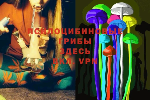 амф Балахна