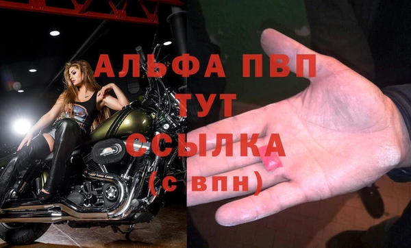 дживик Баксан