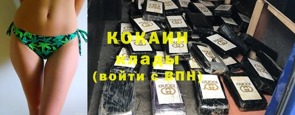 дживик Баксан