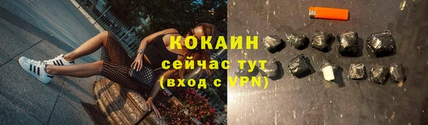дживик Баксан