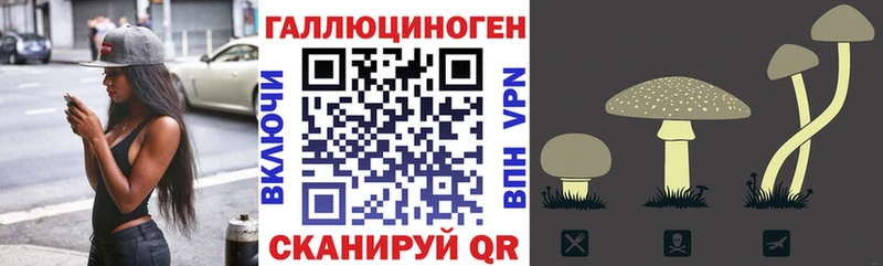 Галлюциногенные грибы Psilocybe  купить   Славск 